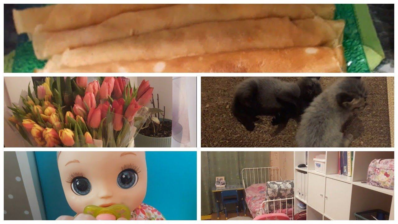 Vlog. Много котят/ Обзор куклы baby alive/ Перестановка/ Блины/ Тюльпаны смотреть онлайн