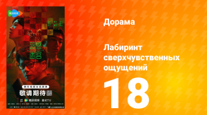 Лабиринт сверхчувственных ощущений 18 серия