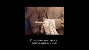 Рождённые в СССР