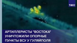 Артиллеристы "Востока" уничтожили опорные  пункты ВСУ у Гуляйполя