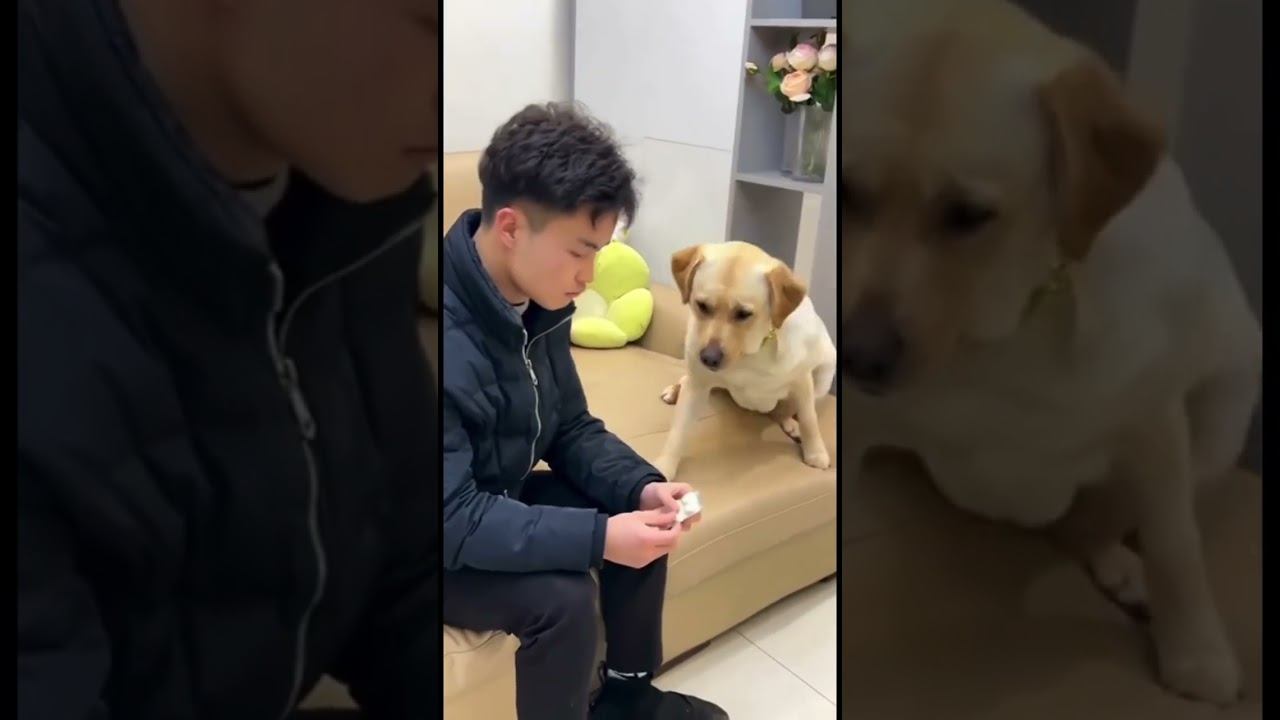 Таблетку на