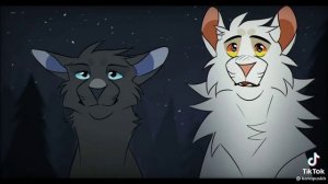 Буран/meme/Коты воители