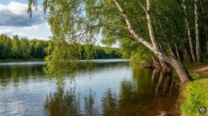Под той берёзой у реки 🎵