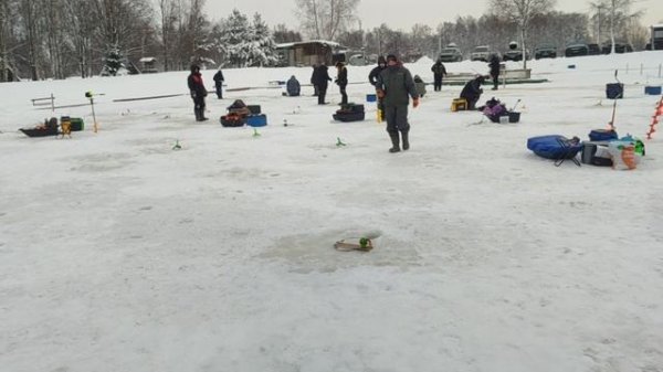 video5384439038289678991