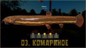Играем в Russian Fishing 4 ловим вьюна,ерша и другую рыбку на оз.Комариное.
