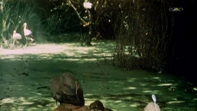 Нормальные герои всегда идут "в обход" смотреть онлайн