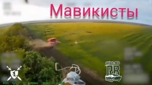 песня Мавикисты от Baba Yaga