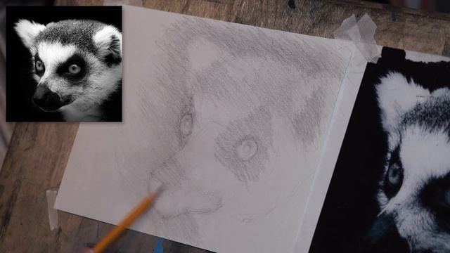 ✏️РИСУЮ ЛЕМУРА ЛЕВОЙ РУКОЙ!   Арт-челлендж   Рассказываю свою историю