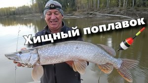 Как ловить щуку на ХИЩНЫЙ ПОПЛАВОК