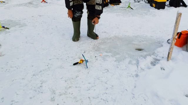 Запуск форели 02.01.2026 смотреть онлайн