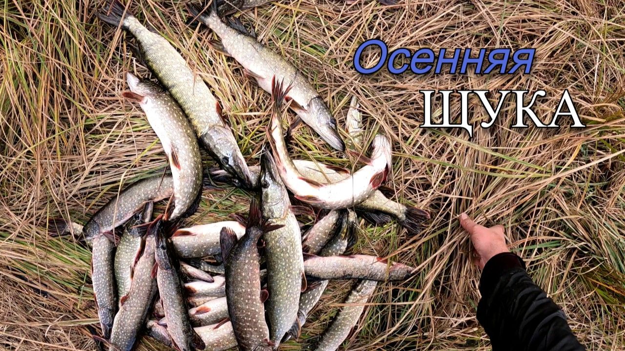 Щука дуреет с этой приманки. Поставил воблер малас и начался клев. Часть 2 смотреть онлайн