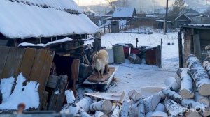 Мыть полы и убирать мусор это унизительно?