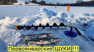 ⚡️Первая Рыбалка 2026⭐️на Жерлицы на ЩУКУ 1-го января на мокром льду!!