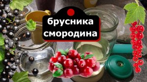 Брусника со смородиной - 2 варианта настойки