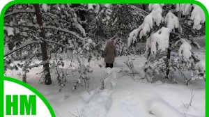 2 января. Прогулка по лесу. Заехали в шашлычку.