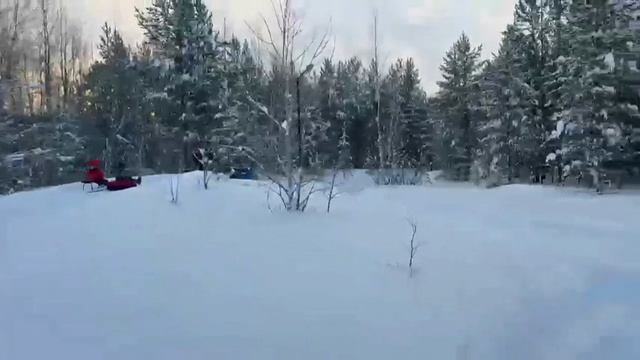 Мотособака бурлак опти м500