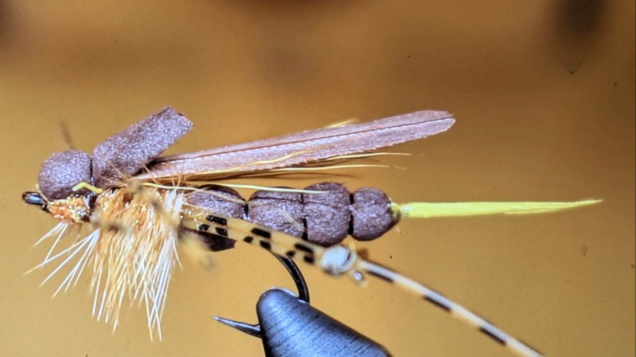 Имитация Саранчи и Кузнечика смотреть онлайн