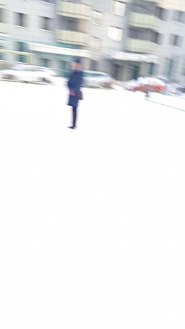 новый год, елка 2026 г