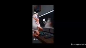 мемы про бубу