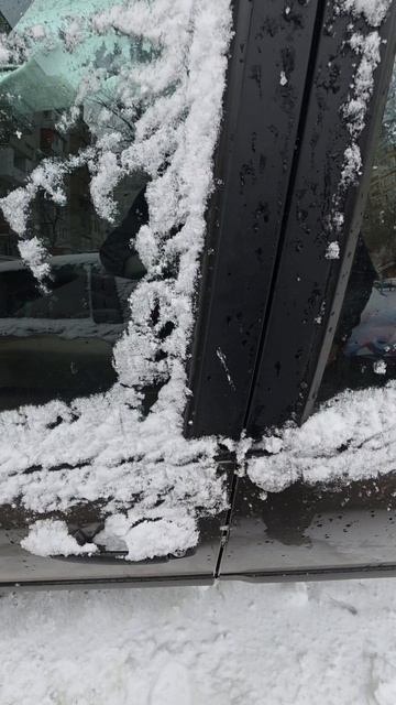 Кто радуется снегу так же как ему радуется в Махачкале? смотреть онлайн