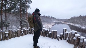 ЭТОТ ЧУДЕСНЫЙ ОКСКИЙ ЗАПОВЕДНИК! Журавли, зубры и Музей Природы в Брыкином Бору