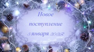 Новое поступление 03-01-2025