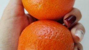 Влог 30.12.25-2.01.26 С новым годом 🎄