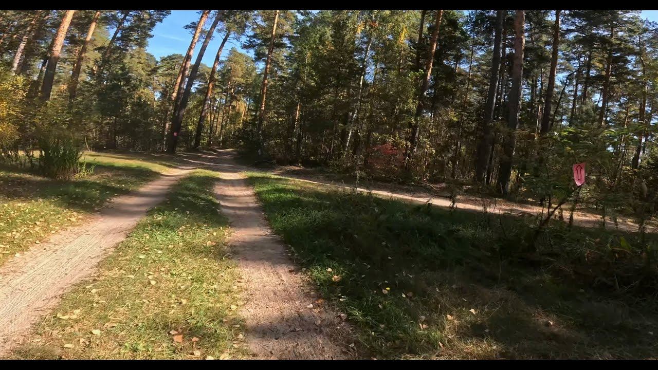 Елозаезд