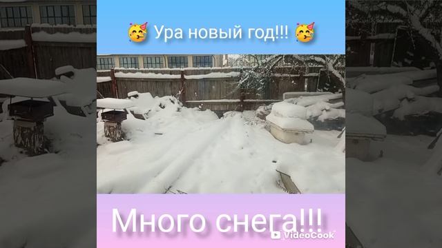 С новым 2026 годом!!! 🥳🥳🥳 смотреть онлайн