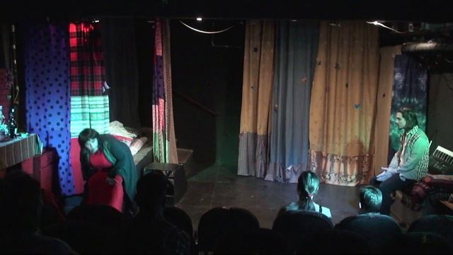 Эти свободные бабочки (22.11.2025)