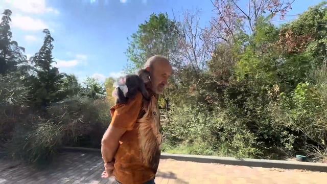 У Анфисы как и у ее мамы Лиды одно на уме, лишь бы поесть, хоть цветок, хоть лепесток, хоть с пола…) смотреть онлайн