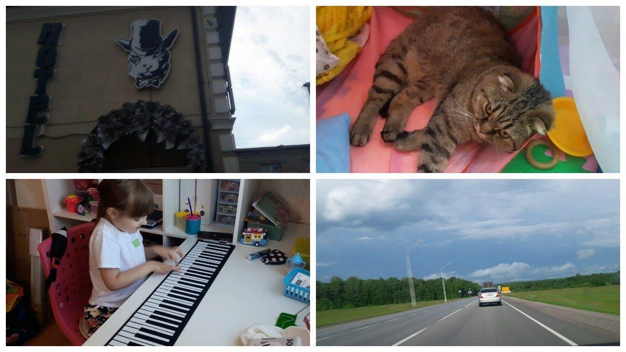 Vlog. Деревня\ Дорога домой\ Гостиница "Кот"\ Дом, милый дом смотреть онлайн