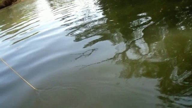 Летим на ГОА 2020 ч7 смотреть онлайн