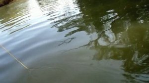 Летим на ГОА 2020 ч7