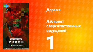 Лабиринт сверхчувственных ощущений 1 серия