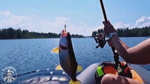 Вуокса. Рыбачим с моторчиком ("форель радужная")