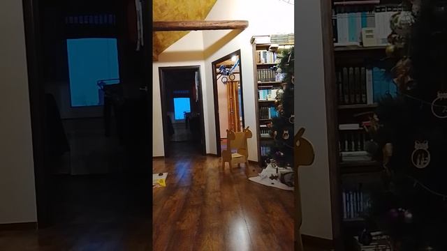 1140.mp4 смотреть онлайн