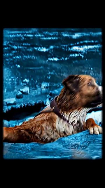 Одно доброе сердце смотреть онлайн