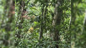 Обнаружили новый водопад на острове Ко-Чанг