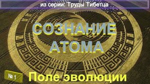 (1) ПОЛЕ ЭВОЛЮЦИИ - СОЗНАНИЕ АТОМА -  из Трудов ТИБЕТЦА