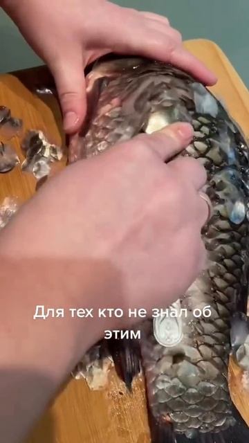 Лайфхак как быстро почистить рыбу наш тг⬇️