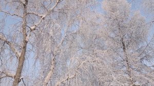 Начало 2026-го | Николай Артемьев