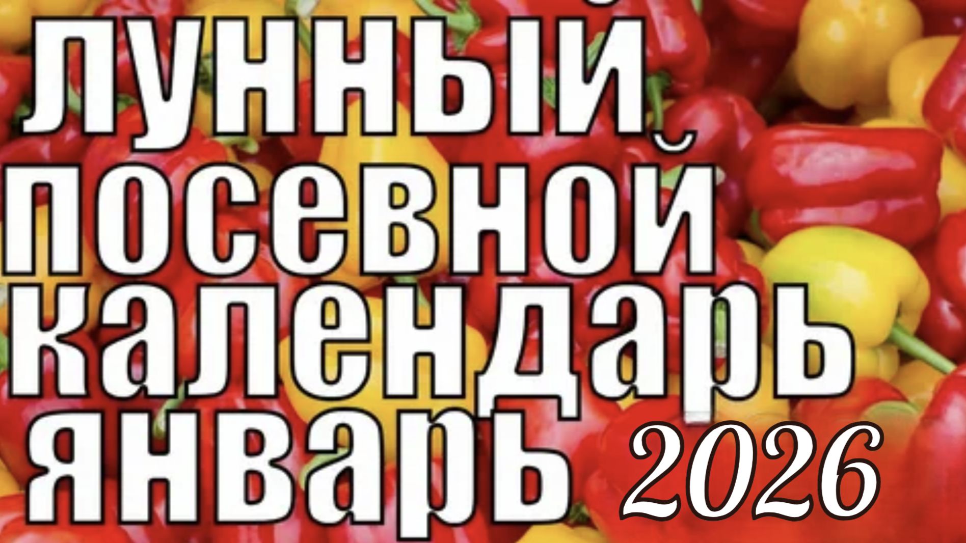 Календарь садовода и огородника на Январь 2026. Календарь посадок. смотреть онлайн
