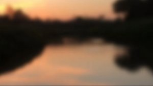 вайбовые песни | летний вайб