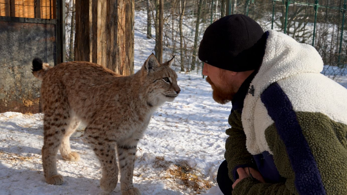 Встретились Год спустя. Признает ли Рысь своего Спасителя! смотреть онлайн