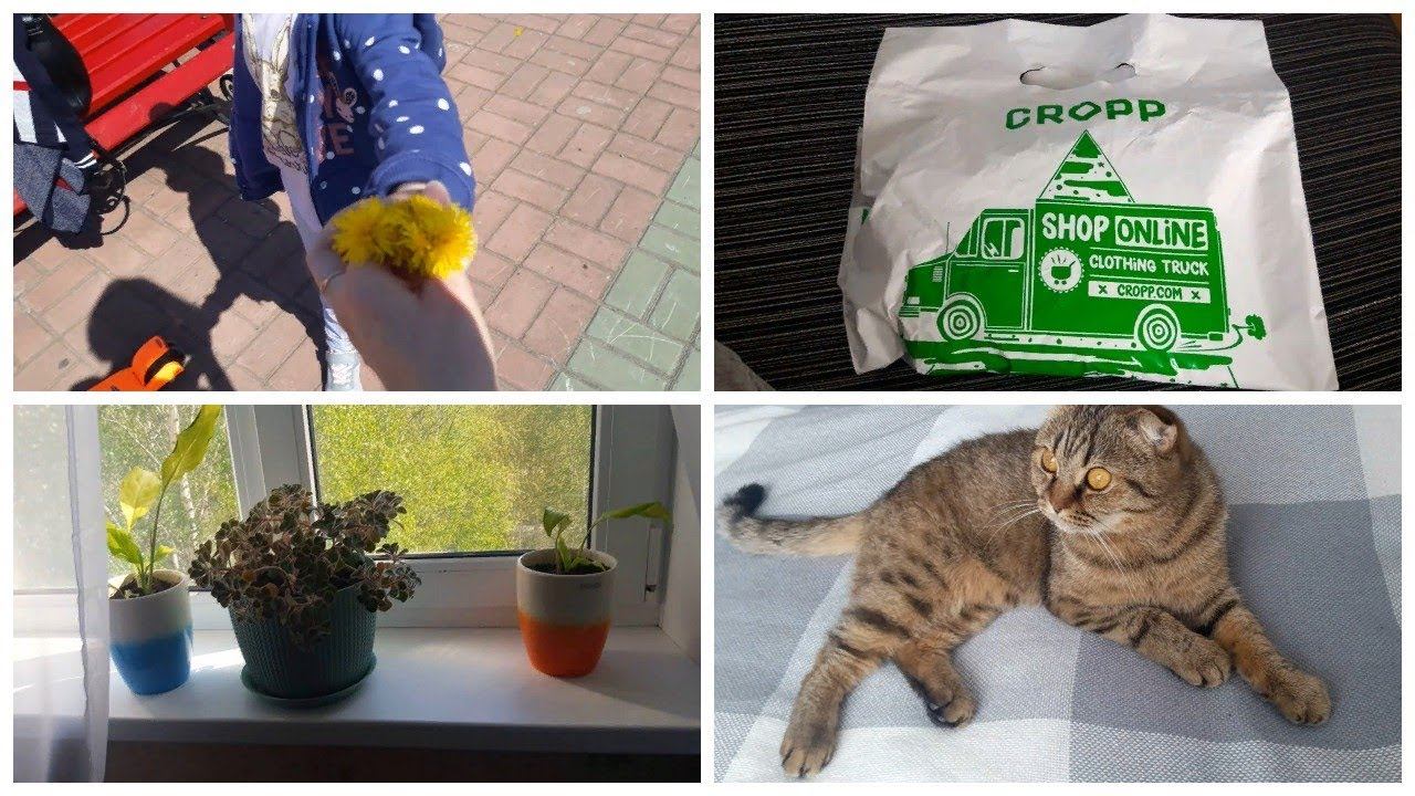 Vlog. Гуляем/ Прогуляли садик/ Пересадила цветы/ Заказ платья смотреть онлайн