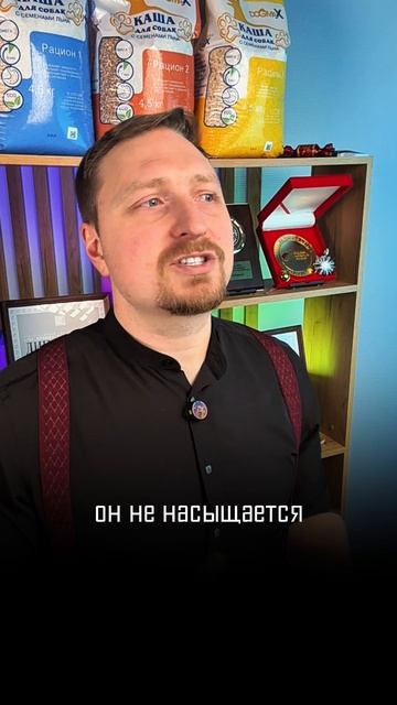 5 признаков, что вы неправильно кормите собаку #кашадлясобак #питаниесобак #правильноепитание