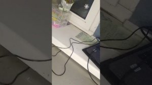 рррааавввввыыяыфффы