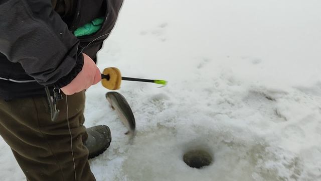 Вип зона. Форель на резину. смотреть онлайн