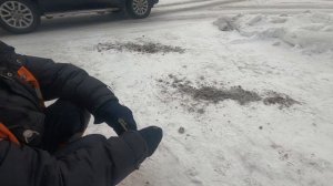 Рубцовск. Иней в городе. 😊